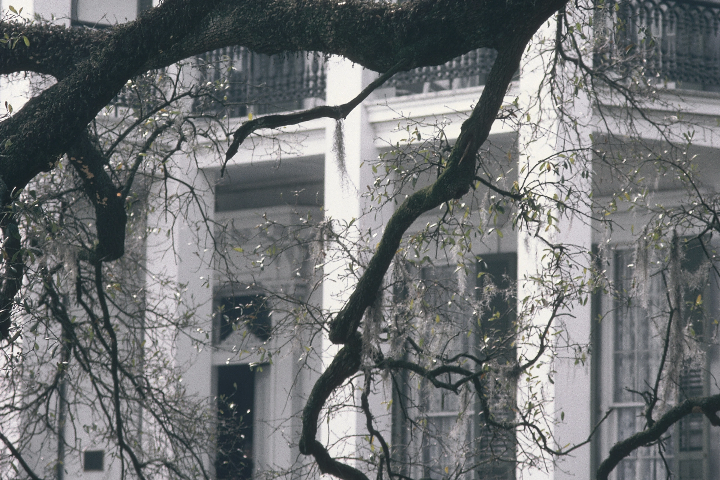 Houmas_House,_Louisiana[1].webp
